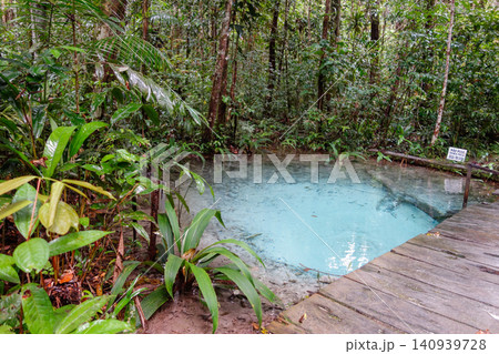 bubbling spring forms a pool of crystal-clear water in Amazon rainforest. Presidente Figueiredo, Amazonas, Brazil 140939728