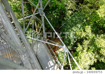 high angle from observation tower deck in Amazon rainforest. Museu da Amazonia, Manaus, Brazil 140939753