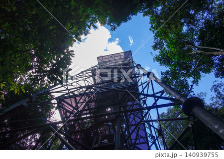low angle of observation tower in Amazon rainforest. Museu da Amazonia, Manaus, Brazil low angle of observation tower in Amazon rainforest. Museu da Amazonia, Manaus, Brazil 140939755