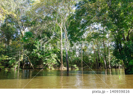 channels formed by overflowing waters of Amazonian rivers during rainy season, north of Brazil channels formed by overflowing waters of Amazonian rivers during rainy season, north of Brazil 140939816