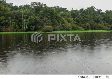 rainy season in Amazon rainforest. Navigating through calm waters in flooded forest. Nearby Manaus, Brazil 140939830