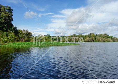 Flooded banks of Juma River in the Amazon rainforest. rainy season. Near Manaus, Brazil Flooded banks of Juma River in the Amazon rainforest. rainy season. Near Manaus, Brazil 140939866