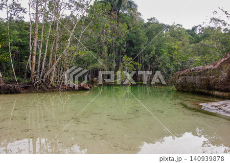 lake with crystal clear waters inside untouched amazon rainforest, Brazil 140939878