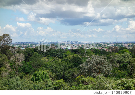 View of lush Amazon rainforest from observation tower, with Manaus city in background. Brazil View of lush Amazon rainforest from observation tower, with Manaus city in background. Brazil 140939907