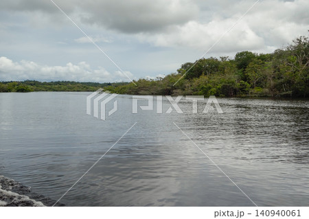 landscape of flooded Amazon rainforest and riverbanks. Amazon basin. Amazonas, Brazil landscape of flooded Amazon rainforest and riverbanks. Amazon basin. Amazonas, Brazil 140940061