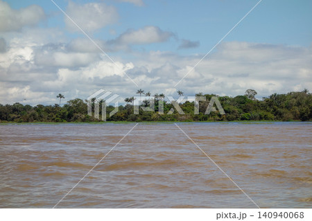 Flooded banks of Amazonas River in the Amazon rainforest. rainy season. Near Manaus, Brazil 140940068