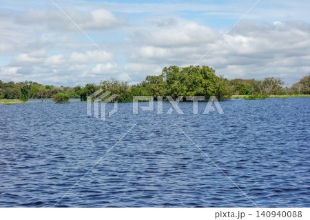 landscape of flooded Amazon rainforest and riverbanks. Amazon basin. Amazonas, Brazil landscape of flooded Amazon rainforest and riverbanks. Amazon basin. Amazonas, Brazil 140940088