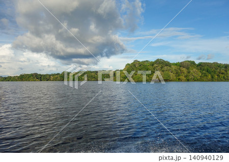 amazing landscape during navigation on river through Amazon rainforest. Amazonas, north of Brazil amazing landscape during navigation on river through Amazon rainforest. Amazonas, north of Brazil 140940129