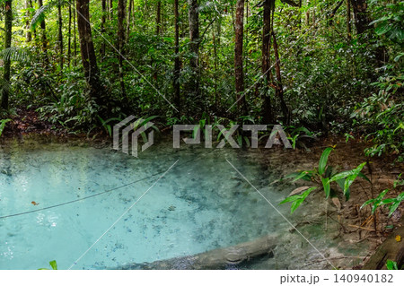 stunning spring of crystal-clear water in Amazon rainforest. Presidente Figueiredo, Amazonas, Brazil stunning spring of crystal-clear water in Amazon rainforest. Presidente Figueiredo, Amazonas, Brazil 140940182