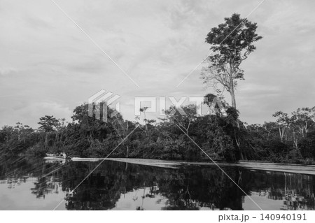 wonderful black and white scene of a river bordered by Amazon rainforest in Brazil wonderful black and white scene of a river bordered by Amazon rainforest in Brazil 140940191