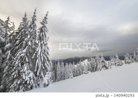Beautiful winter mountain landscape. Tall dark green spruce trees covered with snow on mountain peaks and cloudy sky background. 140940293