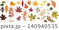 Autumn leaves and forest fruits collection vector illustration 140940535