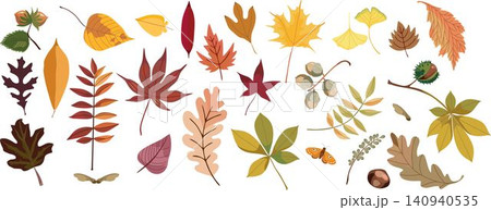 Autumn leaves and forest fruits collection vector illustration 140940535