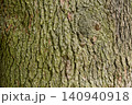 樹木の生命力を感じる樹皮のユニークな節と樹皮のテクスチャ素材 140940918