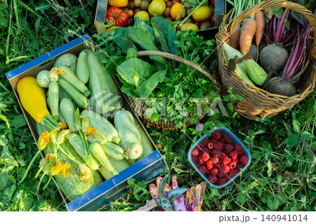Baskets filled with tomatoes, zucchinis, carrots, and greens rest on grass in a garden. Gloves and a container of raspberries sit nearby after a busy harvest Baskets filled with tomatoes, zucchinis, carrots, and greens rest on grass in a garden. Gloves and a container of raspberries sit nearby after a busy harvest 140941014