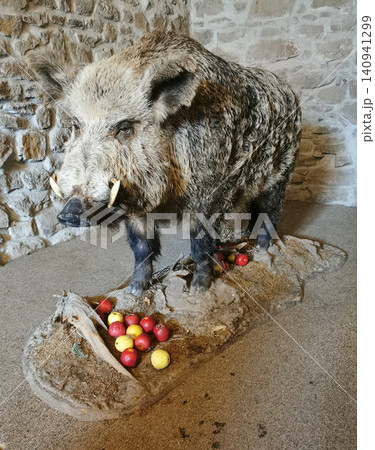 death wild pig death wild pig 140941299
