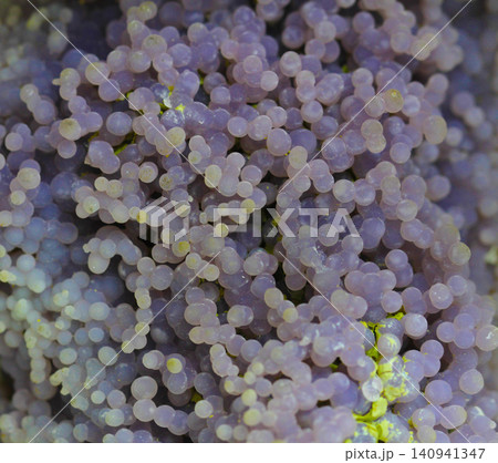 grape agate mineral texture 140941347