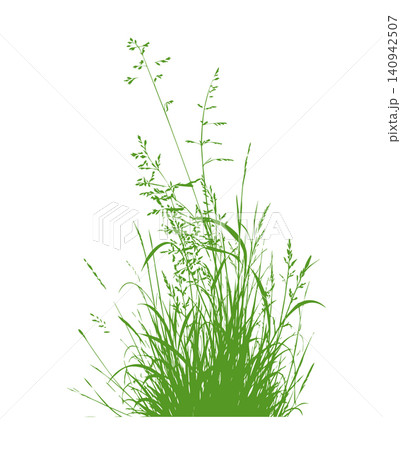 Grass green silhouette vector isolated on white background nature design illustration of grass plant pattern greenery artwork Hand drawn. Not AI, vector illustration. 140942507