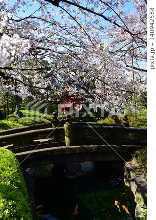 日本の東京 春の浅草 浅草寺境内の美しい庭園と満開の桜 石造のレトロな橋と池で泳ぐ鯉 日本の東京 春の浅草 浅草寺境内の美しい庭園と満開の桜 石造のレトロな橋と池で泳ぐ鯉 140942588