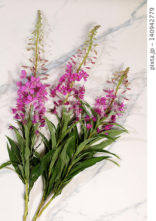 Fireweed flowers on a concrete table, herbal remedies, alternative folk medicine concept, green pharmacy advertisement, collection of useful herbs for folk medicine, source of vitamins Fireweed flowers on a concrete table, herbal remedies, alternative folk medicine concept, green pharmacy advertisement, collection of useful herbs for folk medicine, source of vitamins 140942779