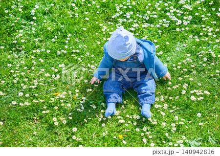 boy up to one year old European appearance sits in the summer on a green meadow with small white flowers dressed in denim overalls and a light cap . High quality photo boy up to one year old European appearance sits in the summer on a green meadow with small white flowers dressed in denim overalls and a light cap . High quality photo 140942816