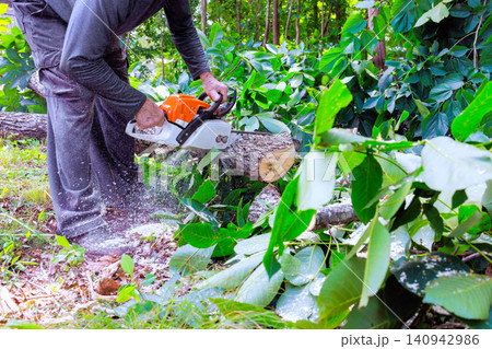 Service man operated chainsaw to cut through tree trunk while surrounded by green forest after tornado Service man operated chainsaw to cut through tree trunk while surrounded by green forest after tornado 140942986