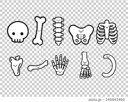 かわいい骨・骨格のキャラクターセット(手描き線画) かわいい骨・骨格のキャラクターセット(手描き線画) 140943460