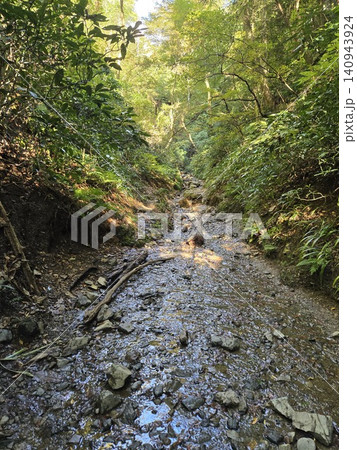 高尾山の渓流と自然豊かな登山道 高尾山の渓流と自然豊かな登山道 140943924
