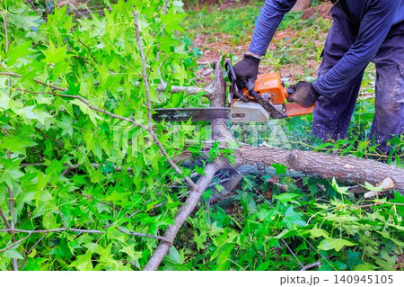 Handyman uses chainsaw to cut fallen tree branch while surrounded by green plants trees in forest. Handyman uses chainsaw to cut fallen tree branch while surrounded by green plants trees in forest. 140945105