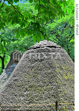 緑に囲まれる星野遺跡 栃木市星野町 緑に囲まれる星野遺跡 栃木市星野町 140945276