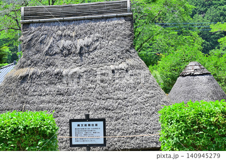 緑に囲まれる星野遺跡 栃木市星野町 緑に囲まれる星野遺跡 栃木市星野町 140945279