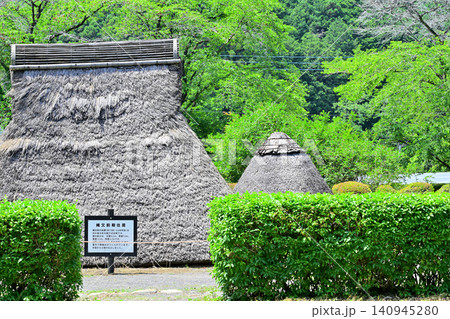 緑に囲まれる星野遺跡 栃木市星野町 緑に囲まれる星野遺跡 栃木市星野町 140945280