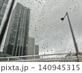 雨降る街 140945315