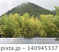 山と竹林のある風景 140945337