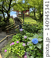 境内に咲く紫陽花 140945341