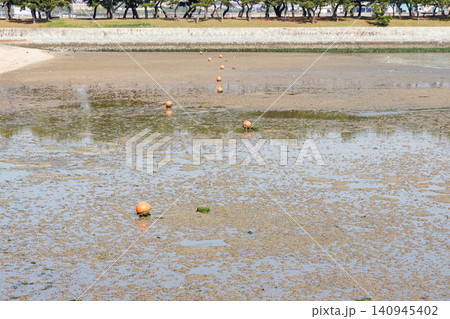 向島公園にある浮き(兵庫県高砂海浜公園) 向島公園にある浮き(兵庫県高砂海浜公園) 140945402