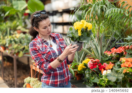 Before buying, woman examines flower of begonia at flowers market 140945692
