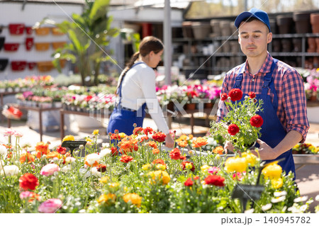 Young male salesman holding persian buttercup 140945782