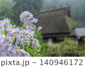 美山かやぶきの里にあるかやぶき屋根の家とシオンの花 140946172