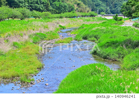 緑に囲まれた永野川 星野河川遺跡公園付近 栃木市星野町 緑に囲まれた永野川 星野河川遺跡公園付近 栃木市星野町 140946241