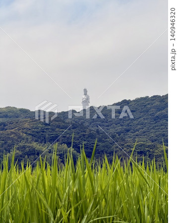 観音像と棚田の夏風景 140946320