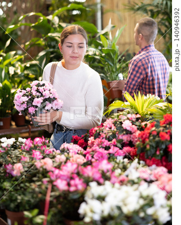 Young woman choosing azalea in flower shop Young woman choosing azalea in flower shop 140946392