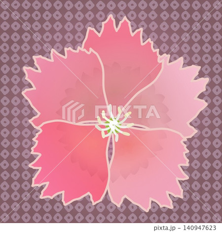 背景のついたダイアンサスのイラスト 背景のついたダイアンサスのイラスト 140947623