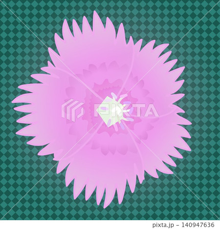 背景のついたダイアンサスのイラスト 背景のついたダイアンサスのイラスト 140947636