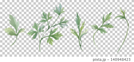 Hand-drawn watercolor greenery set with various leaves and botanical stems, herbals, isolated on white background for elegant floral and kitchen menu designs, herbal tea, cosmetics packaging Hand-drawn watercolor greenery set with various leaves and botanical stems, herbals, isolated on white background for elegant floral and kitchen menu designs, herbal tea, cosmetics packaging 140948423