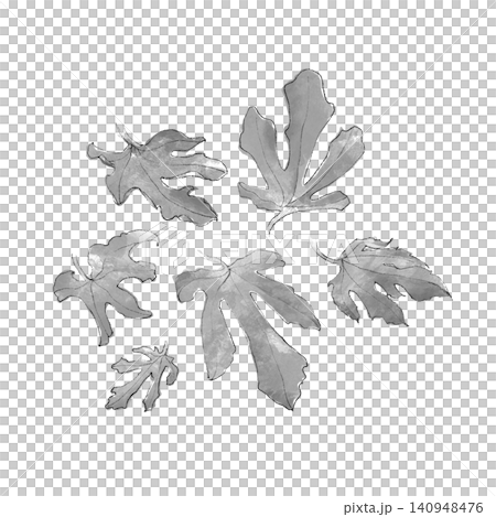 Hand-drawn illustration of a fig leaf 140948476