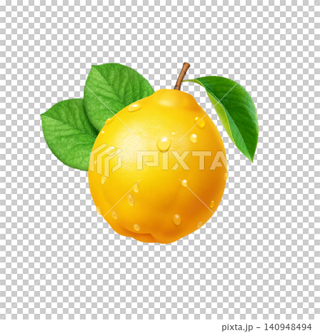 Karin illustration, realistic Karin Karin illustration, realistic Karin 140948494