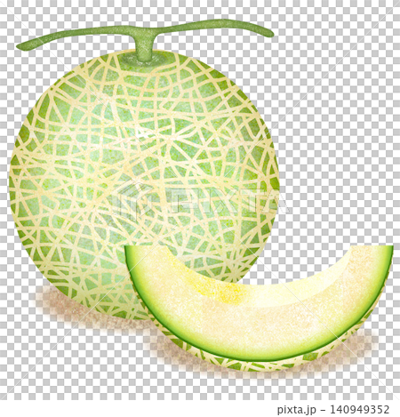 Watercolor style melon illustration Watercolor style melon illustration 140949352