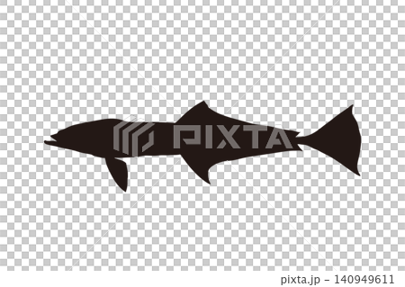 Remora silhouette illustration on a white background Remora silhouette illustration on a white background 140949611