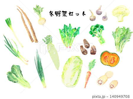冬野菜水彩イラストセット ベクター 冬野菜水彩イラストセット ベクター 140949708